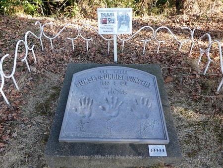 190105-日本平ホテル (35)