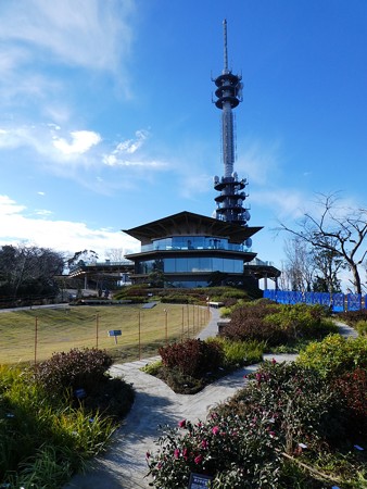 190105-日本平夢テラス (5)