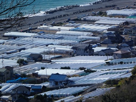 190105-久能山東照宮 (53)