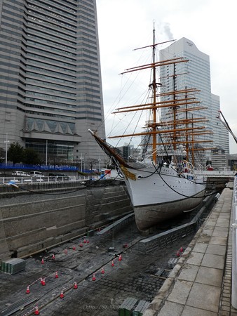190110-日本丸(修繕中) (21)