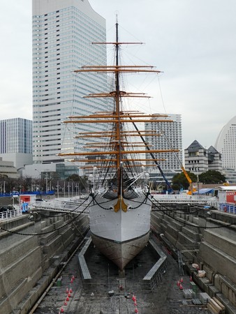 190110-日本丸(修繕中) (15)