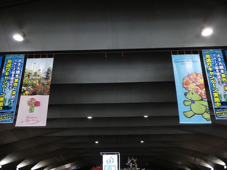 190412-フォトスポット@大桟橋 (5)