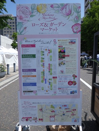 190519-日本大通り (1)