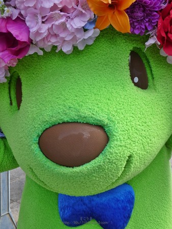 190519-ガーデンベア@日本大通り(4回目 後) (19)