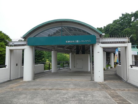 190602-根岸森林公園 (5)