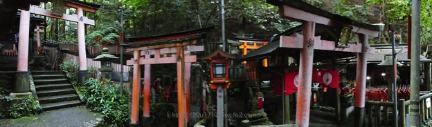190825-伏見稲荷大社 (81)