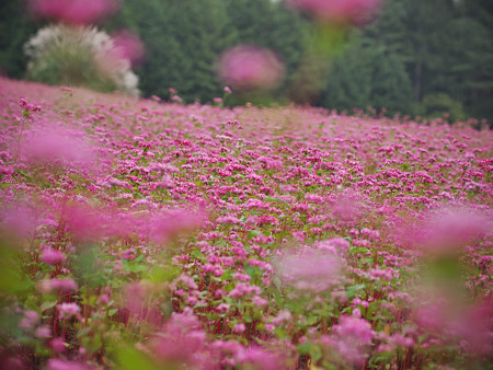 pht_photo_03