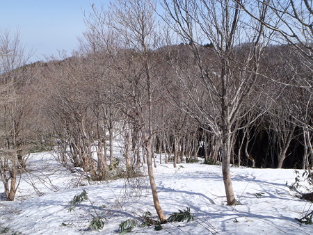 2014041907