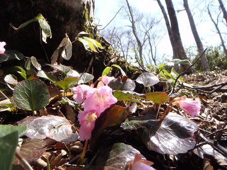 2014041914
