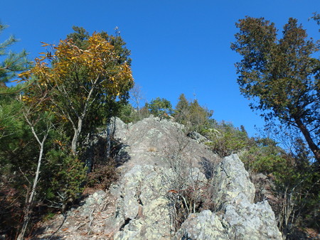PC050008