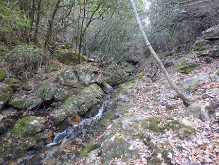 P2070019