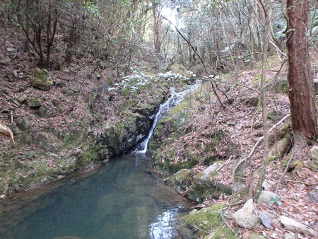 P2070015