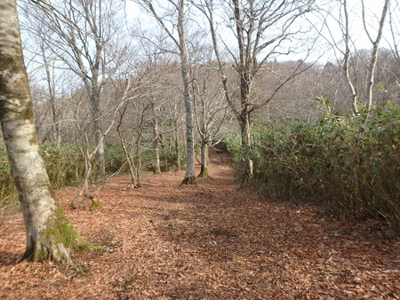 P4090013