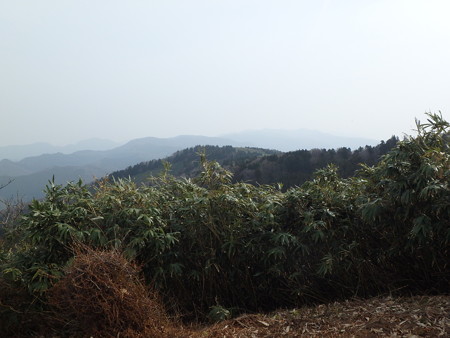 P4090015