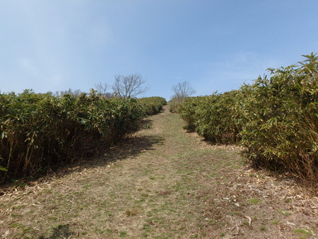 P4090035