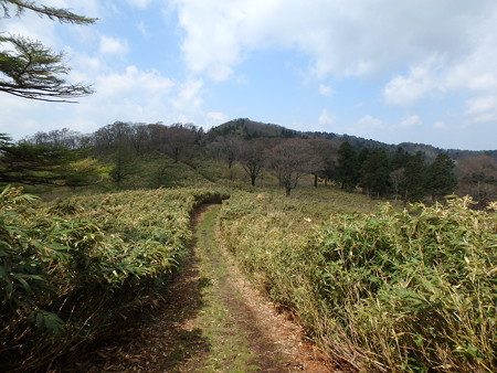 P5040040