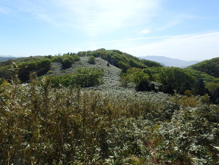 P5080022