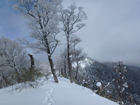 P2030049
