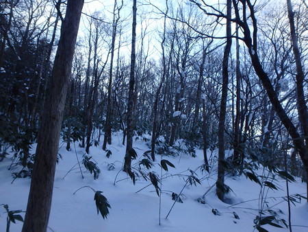 P2030015
