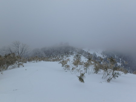 P2030025