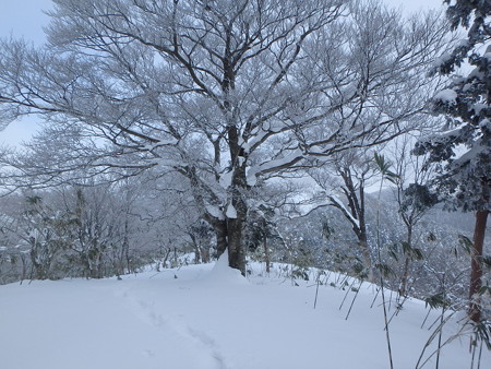 P2030047