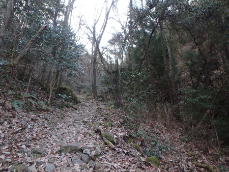 P2120004