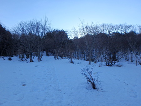 P3030011