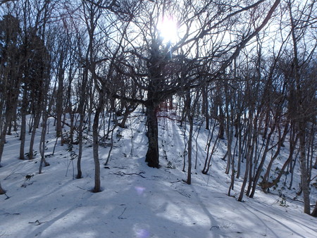 P3030039