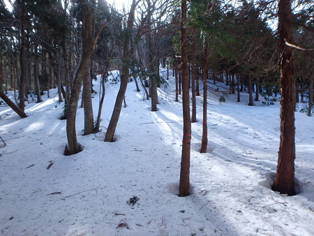 P3030050