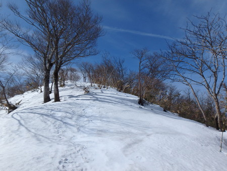 P3030059