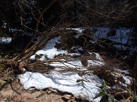 P3030094