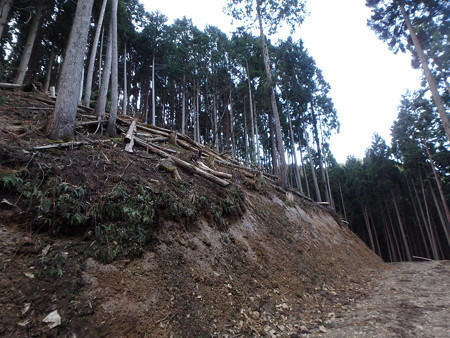 P3240004