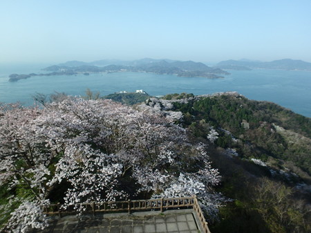 P3310026