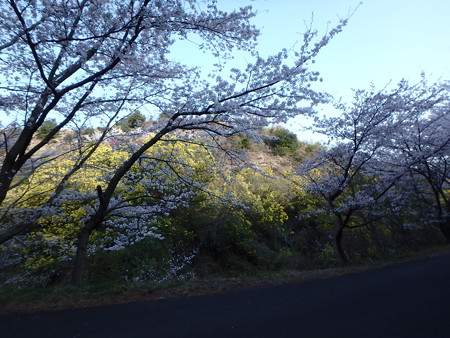 P3310013