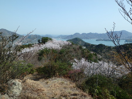 P3310045