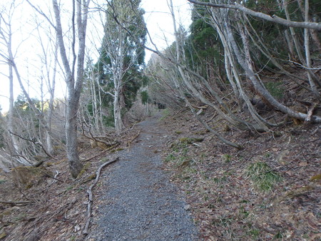 P4210006