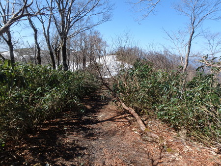 P4210055