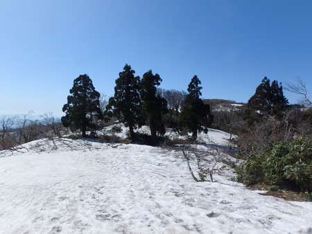 P4210061