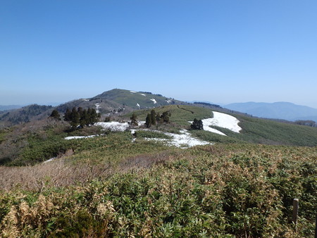 P4210067