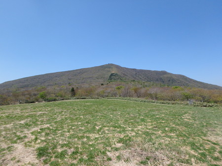 P4280075