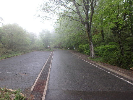P5030003