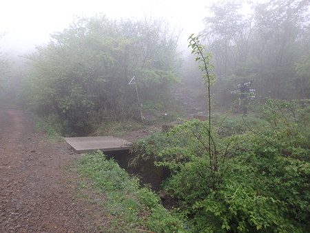 P5030004