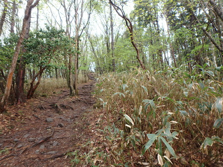 P5030013