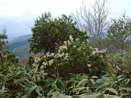 P5030018