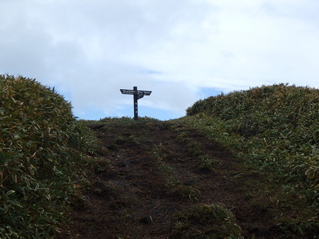 P5030020
