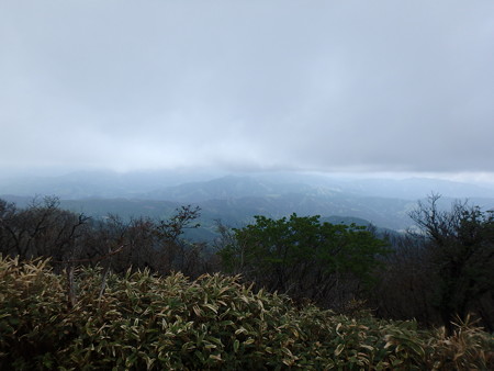 P5030034