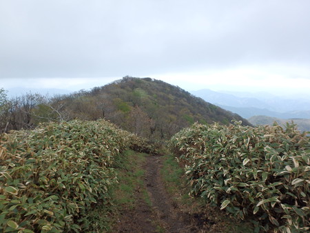 P5030036
