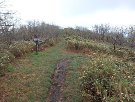 P5030041