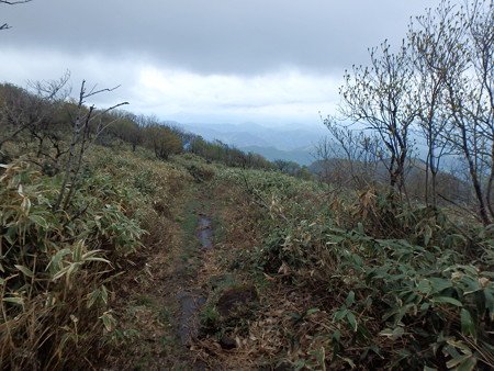P5030042