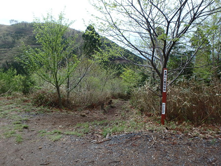 P5030048